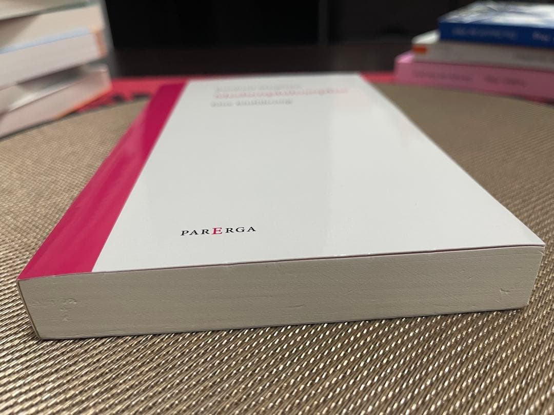 洋書 Reinhard Margreiter Medienphilosophie