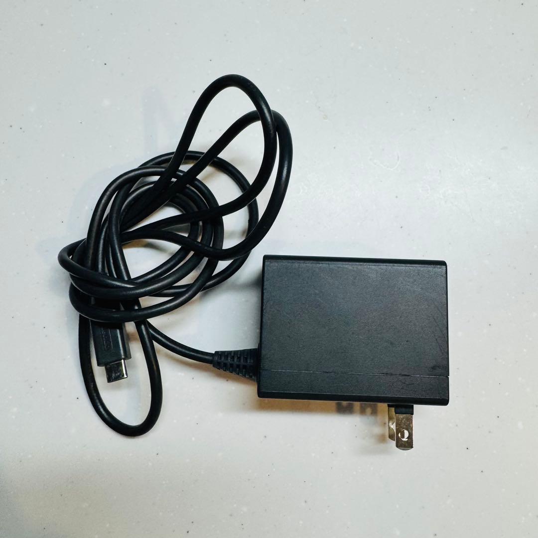 初期化済Nintendo Switch Lite ターコイズ 本体 充電ケーブル