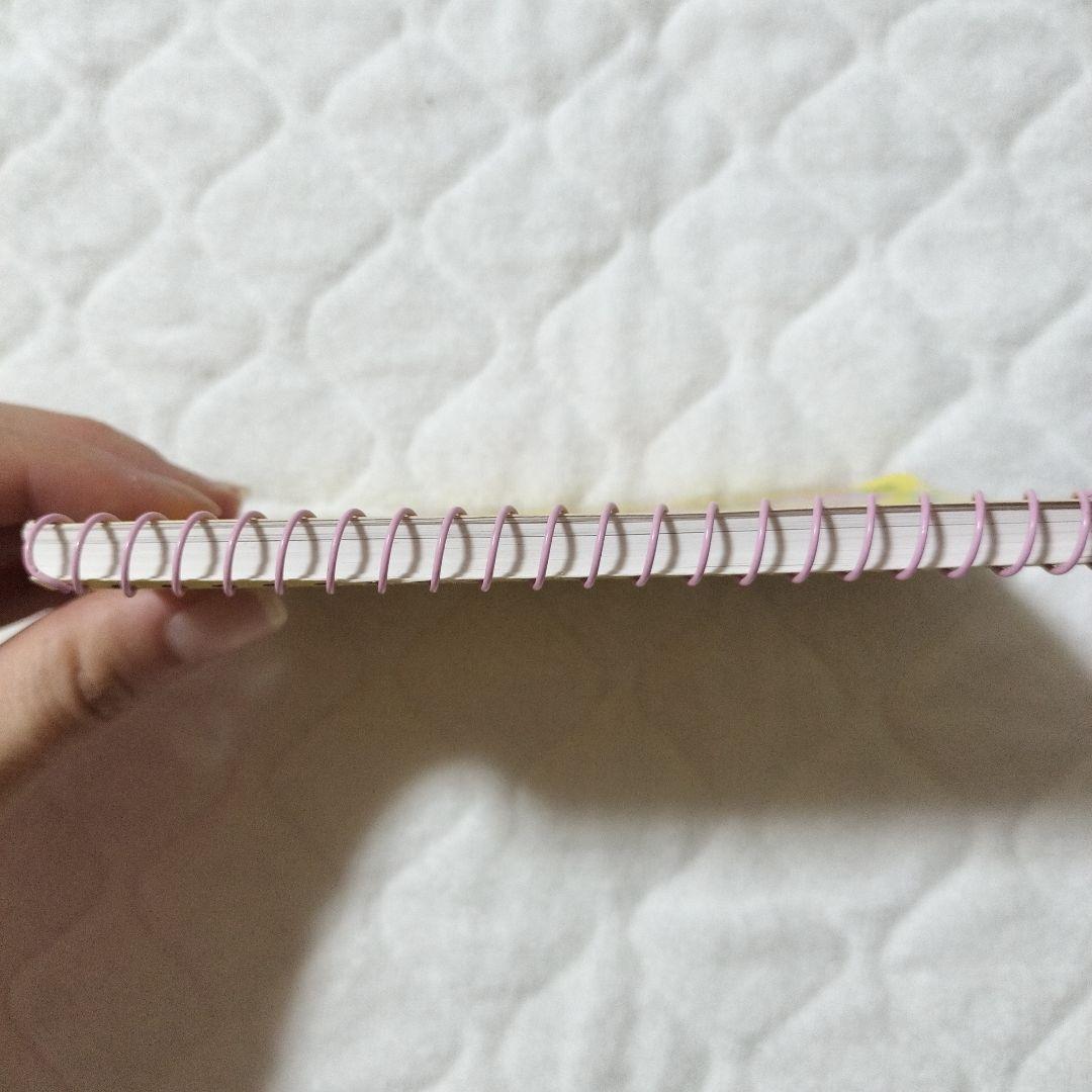 d*9様 サンリオ ハローキティ ハイビスカス メモ帳 　ネイルシール　平成レト