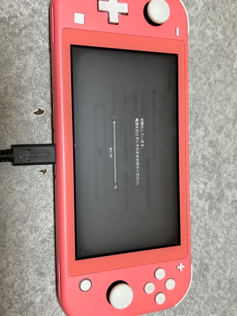 Nintendo Switch Lite ピンク 専用ケース付き　※動作確認済み