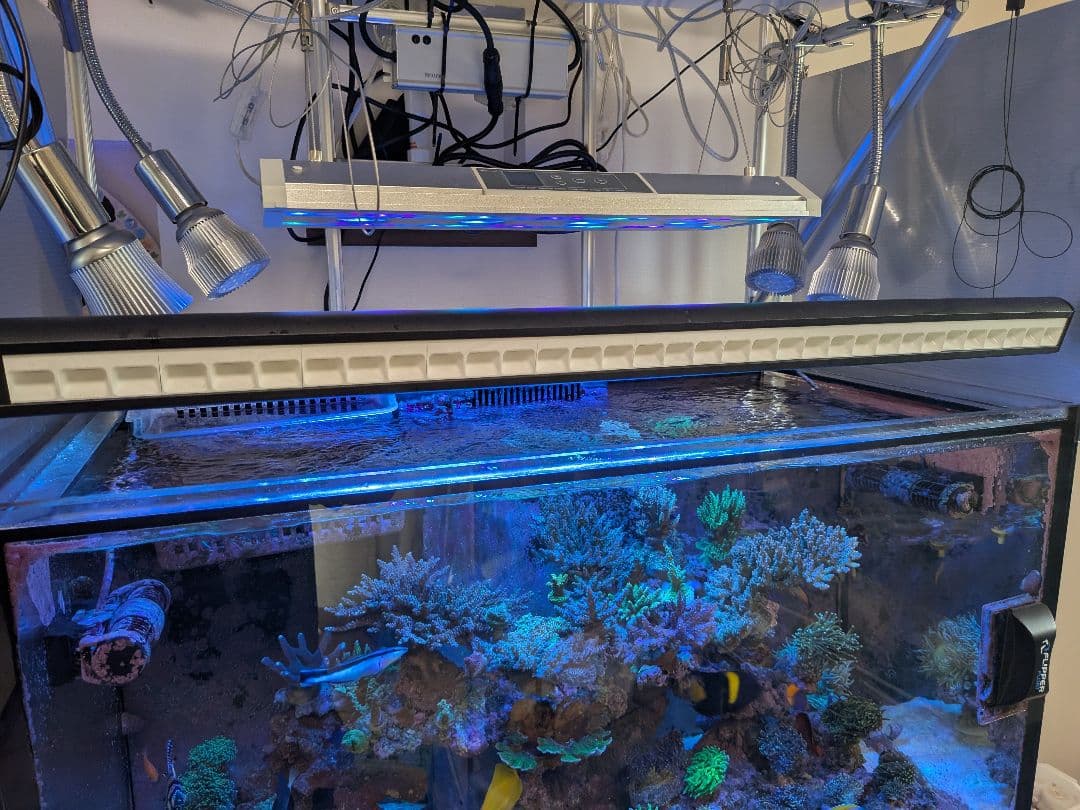 ZOOX アクティニックシャイナー90