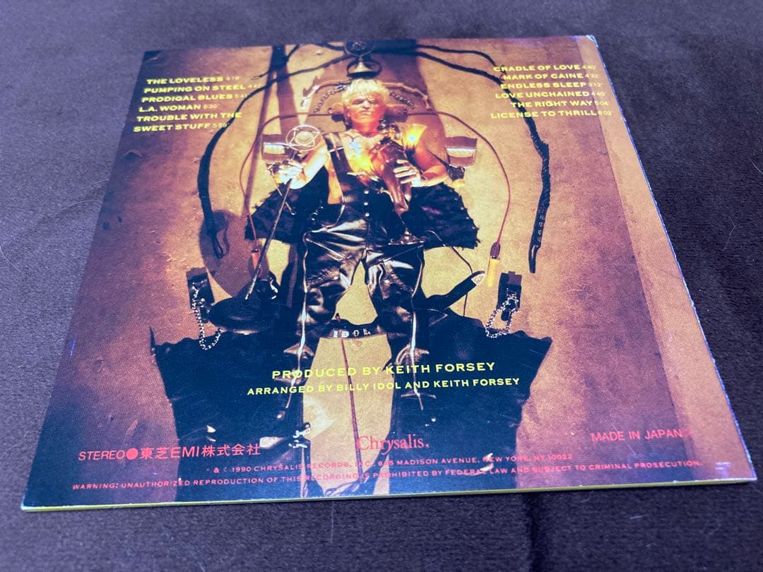 ビリー・アイドル　スティーヴ・スティーヴンス　サインCD billy idol