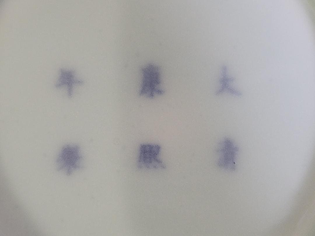 DT594 中国 文房具 赤釉 筆洗