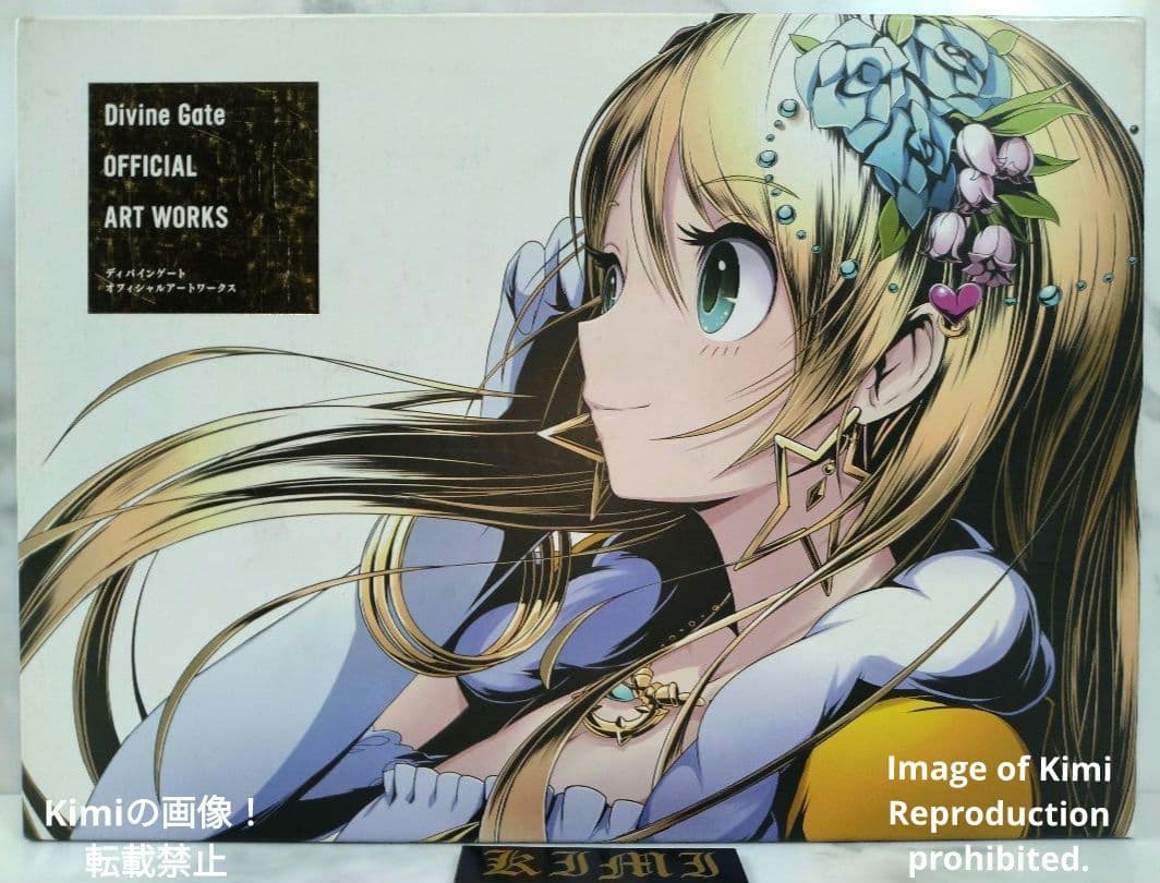 ディバインゲート OFFICIAL ART WORKS 本 2015 初版 画集