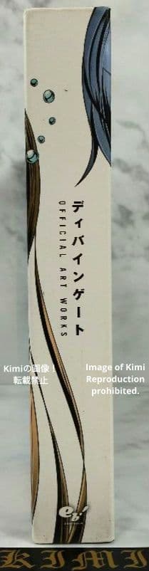 ディバインゲート OFFICIAL ART WORKS 本 2015 初版 画集