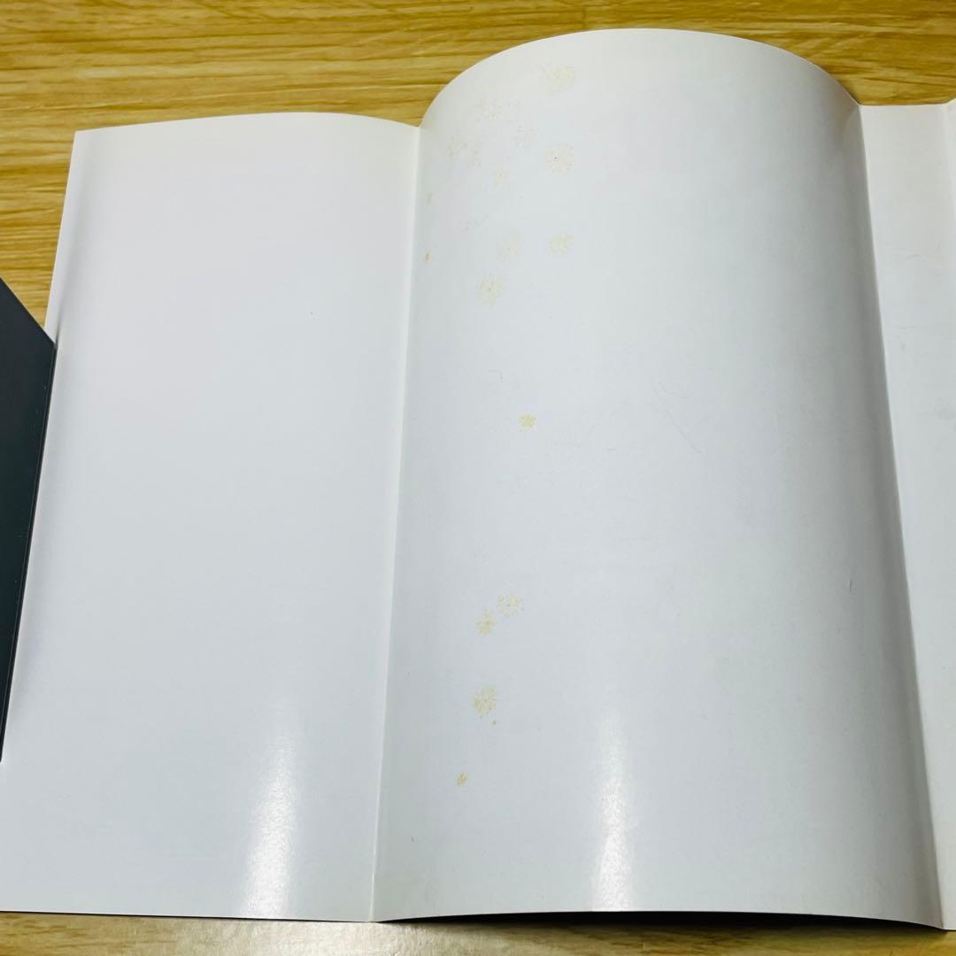 【初版】攻殻機動隊 THE GHOST IN THE SHELL 1巻 2巻