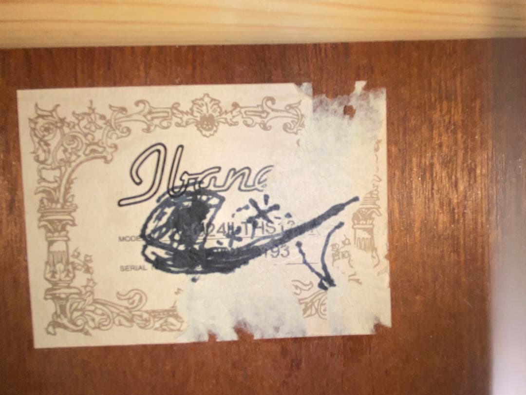 Ibanez エレアコギター　AEC24Ⅱ ソフトケース付美品1948-06-1