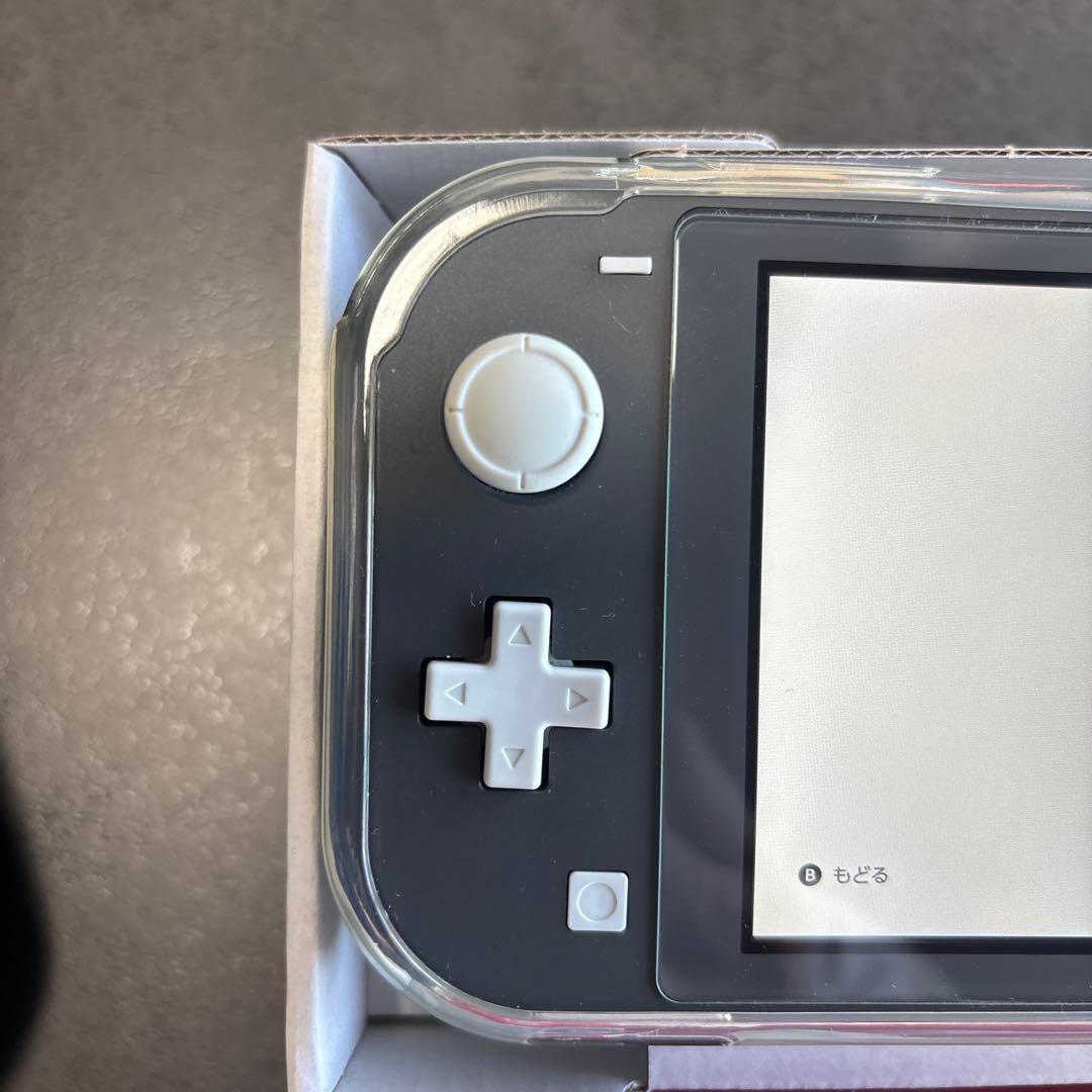 Switch Lite グレー　充電器＆ケース付き