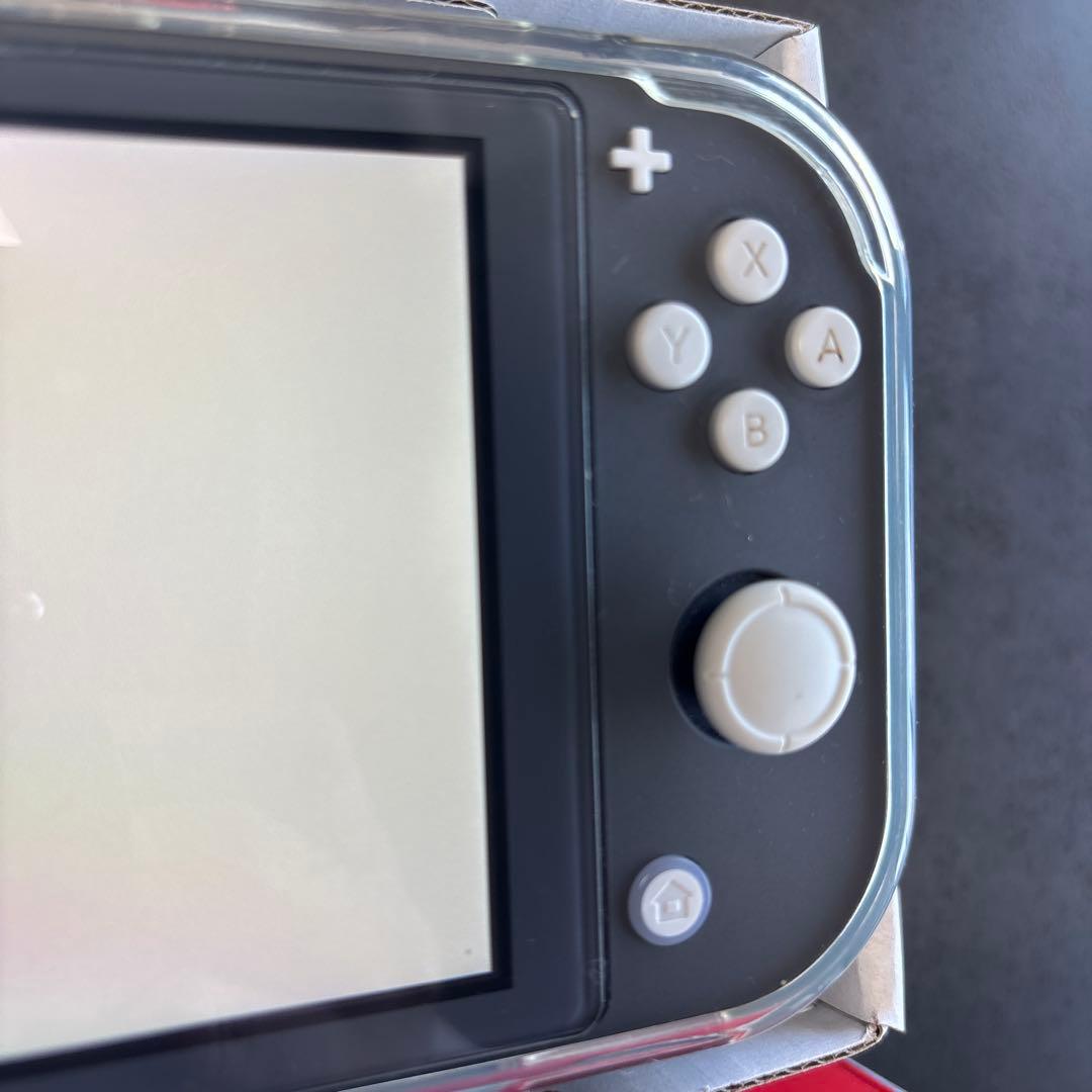 Switch Lite グレー　充電器＆ケース付き
