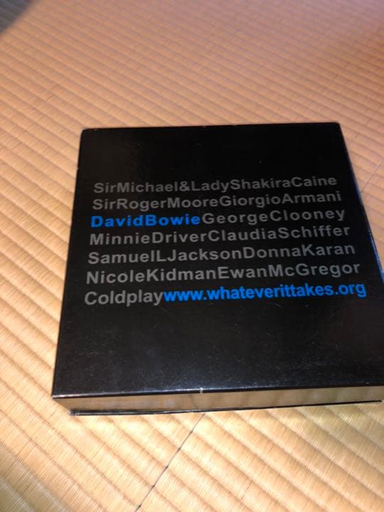 能登半島地震David Bowie アートプレート