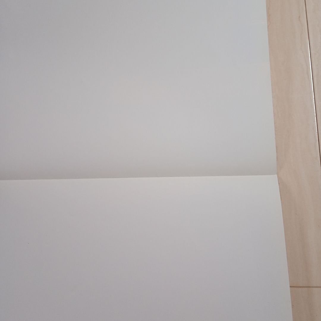 □ライデンファイターズJET　アーケード用非売品販促用ポスター　A1サイズ