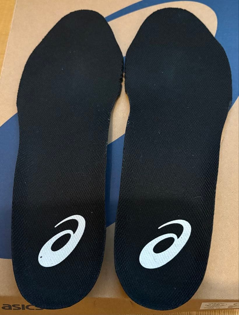 ウィンジョブ® CP309 BOA® 3E相当　27.0