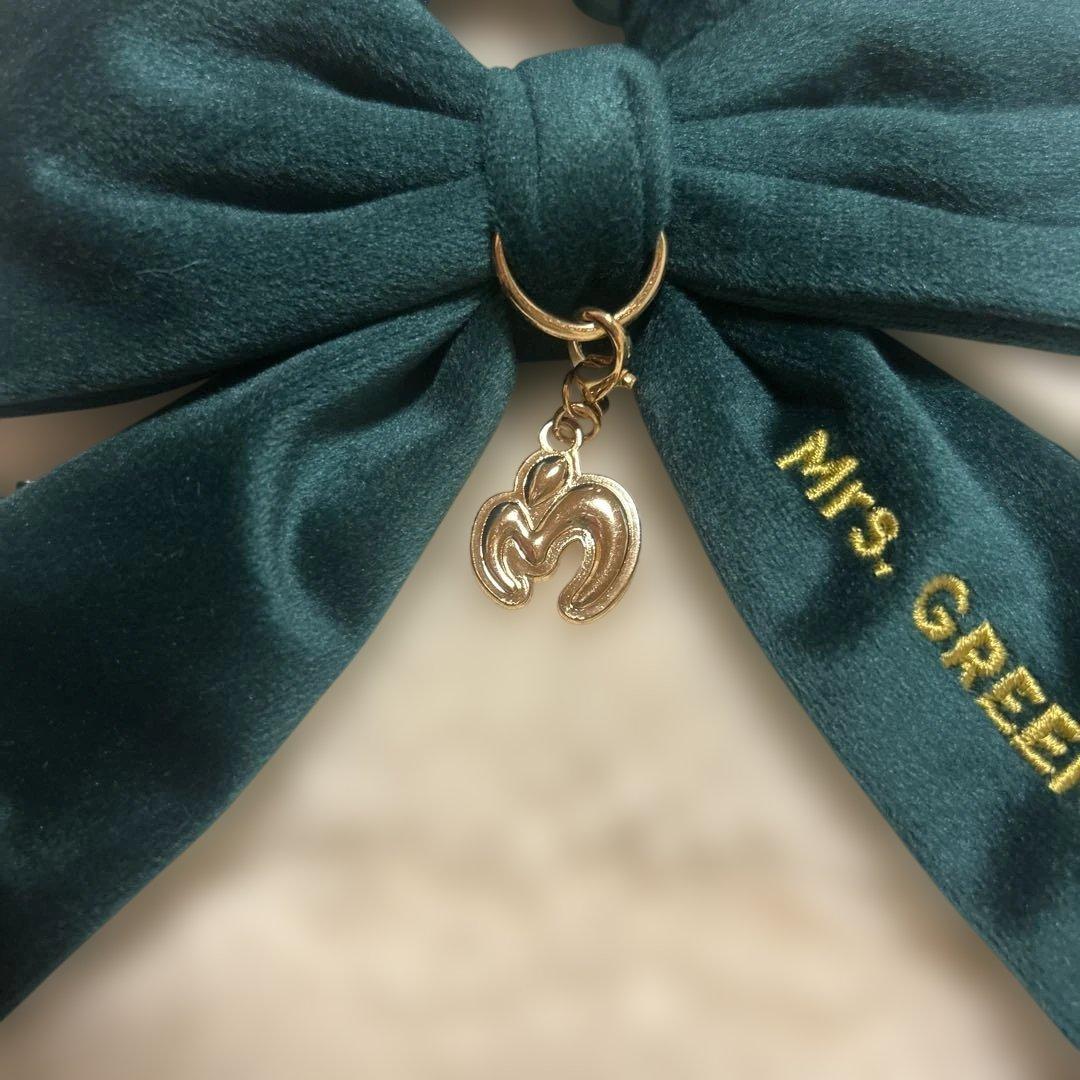 ミセス　ライトスティックバックとライトスティックリボンのセット