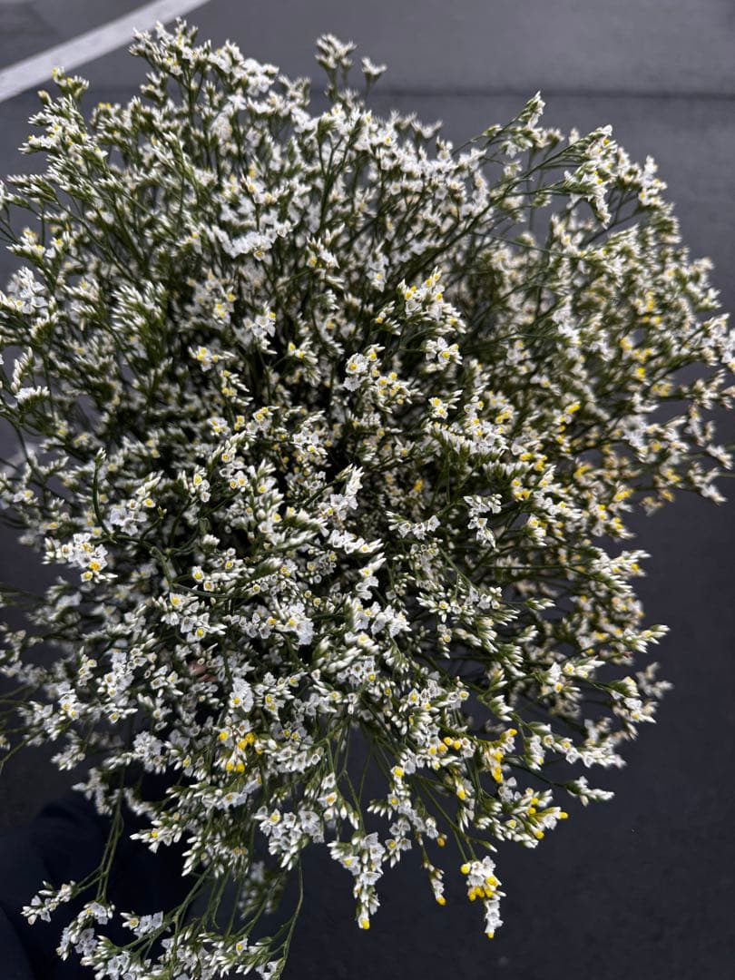 100様 リクエスト 7点 まとめ商品