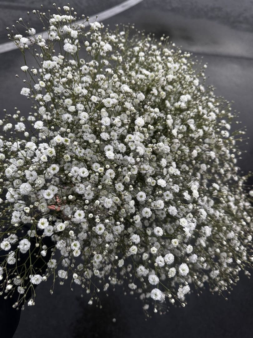 100様 リクエスト 7点 まとめ商品