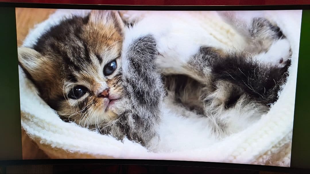 LG ゲーミングウルトラワイドモニター 34GK950F-B 34インチ