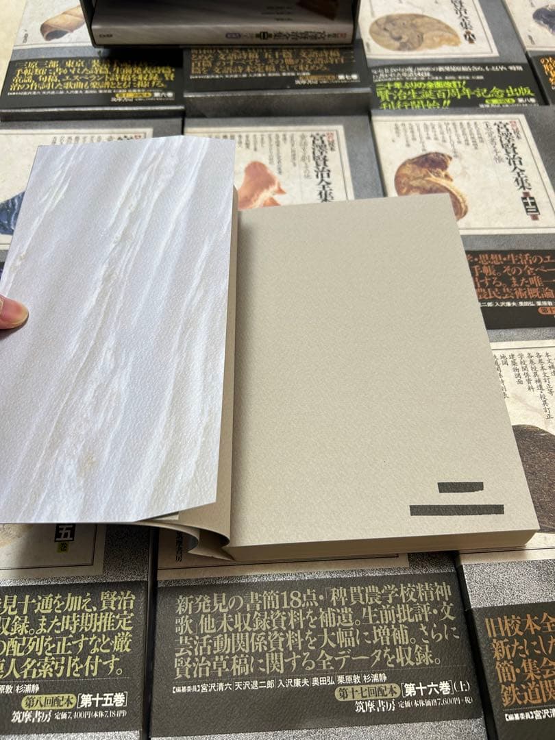 新校本宮澤賢治全集