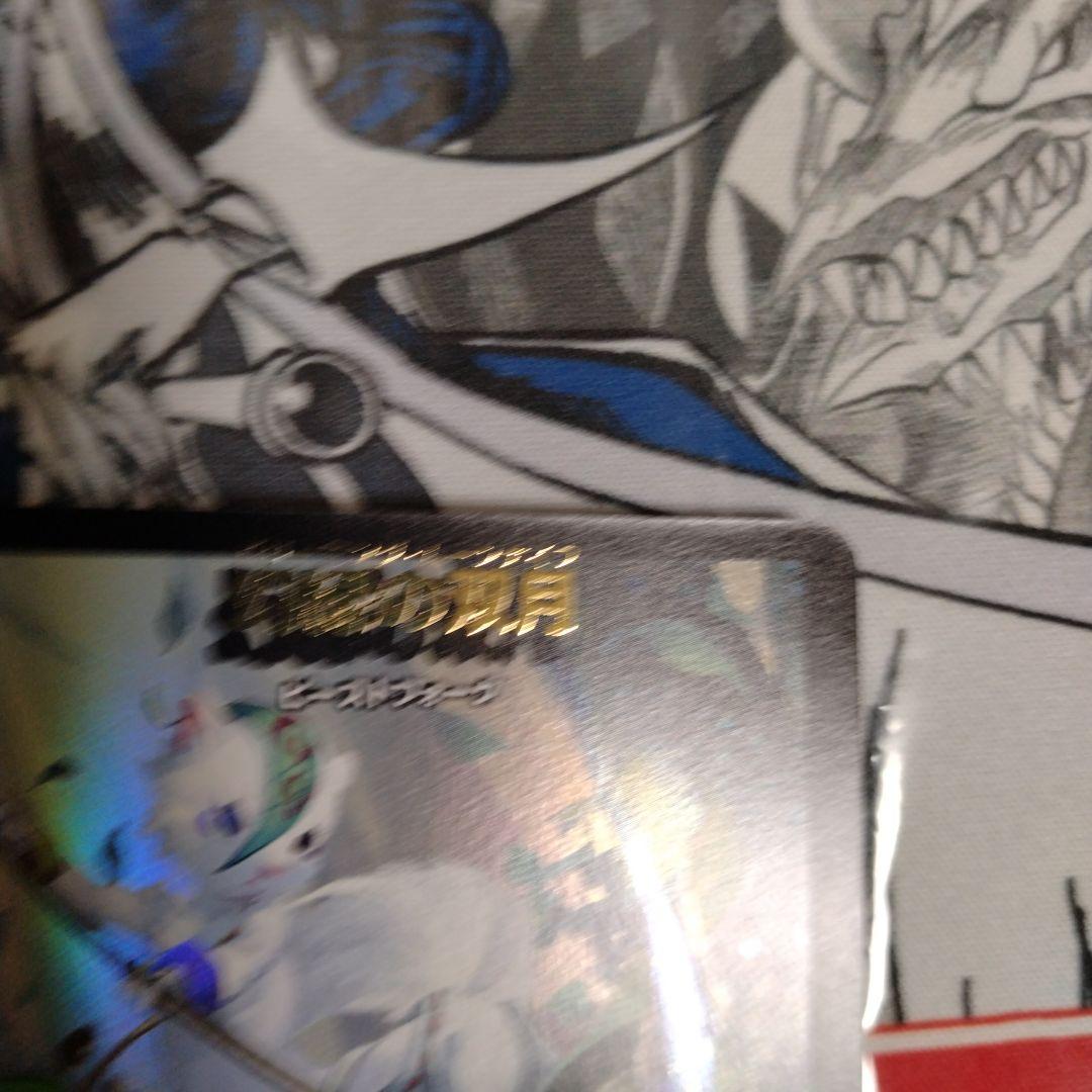 【最終値下げ】エラーカード　ネームズレ　ドリーミングムーンナイフ　母なる聖域