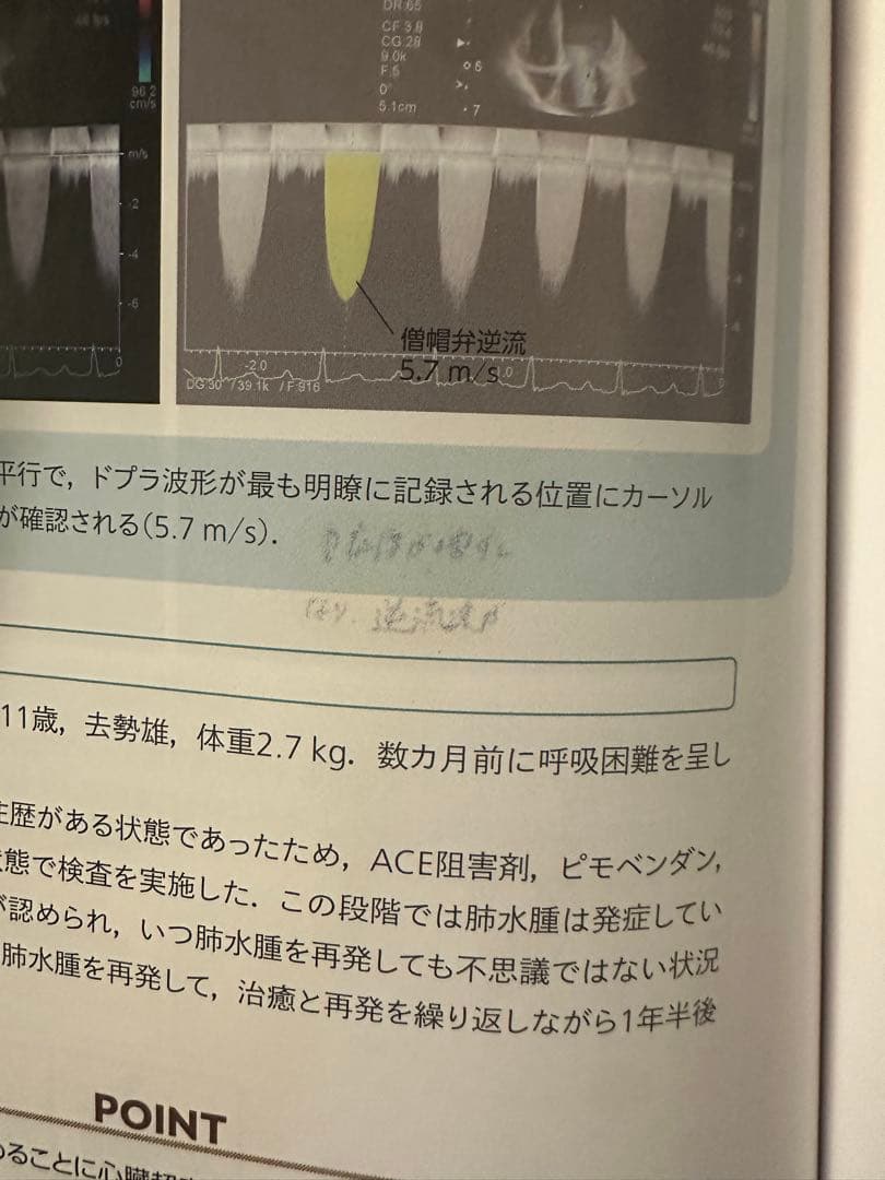 画像とシェーマで学ぶ 犬と猫の超音波 Vol.1 心臓