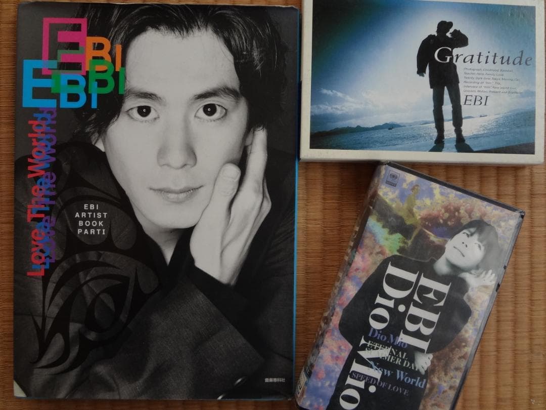 EBI（エビ）堀内一史     アーティストブック・ｖｈｓ