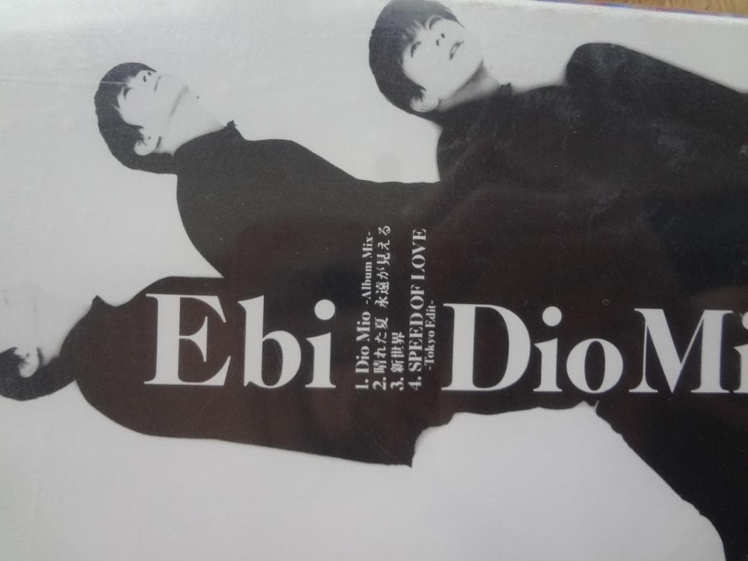 EBI（エビ）堀内一史     アーティストブック・ｖｈｓ