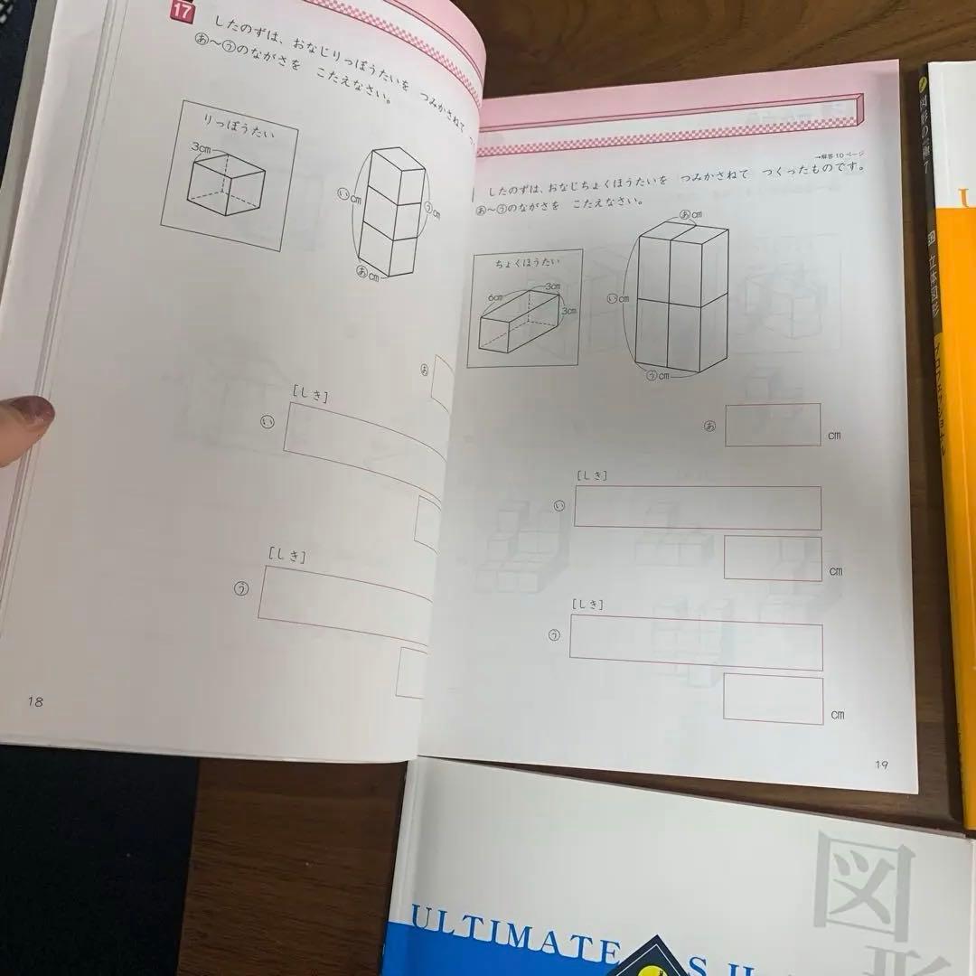 非常に珍しい！図形の極み professional セット