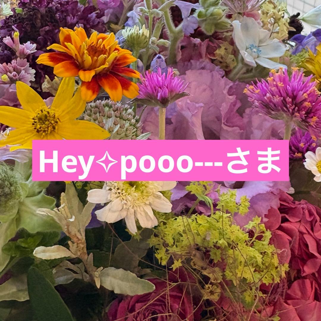 Hey✧pooo---さま♡専用ページ