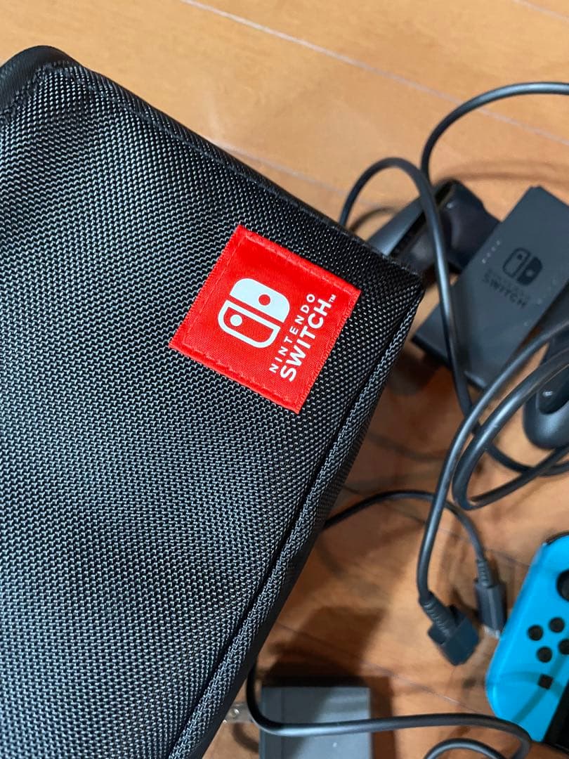 Nintendo Switch 本体充電器ケース　ソフトマイクロSDおまけ有
