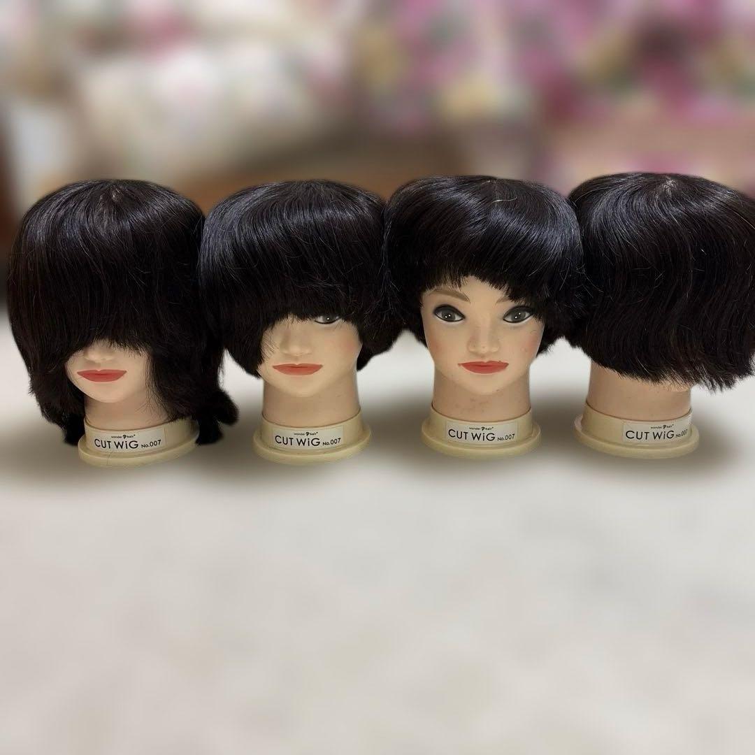 カットウィッグ　カット済み含む　10個セット　美容師国家試験　練習用　マネキン