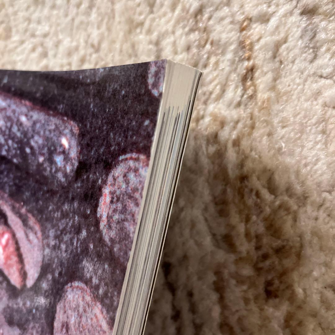 Wolfgang Tillmans 写真集