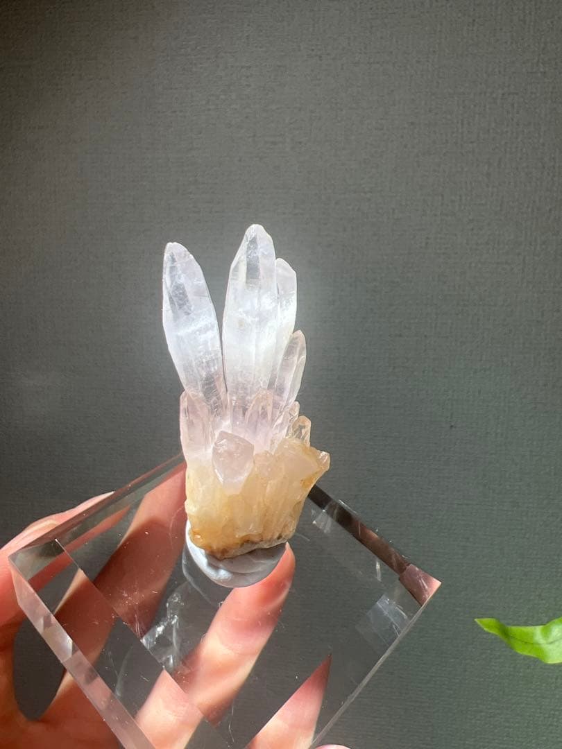 【本日限定】国産鉱物　富井鉱山　紫水晶