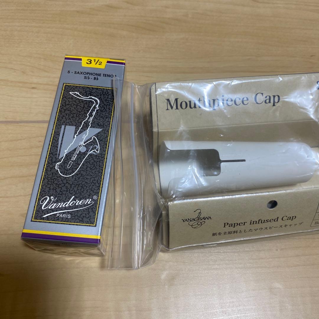 管楽器・吹奏楽器 Yanagisawa Tenorsax Case