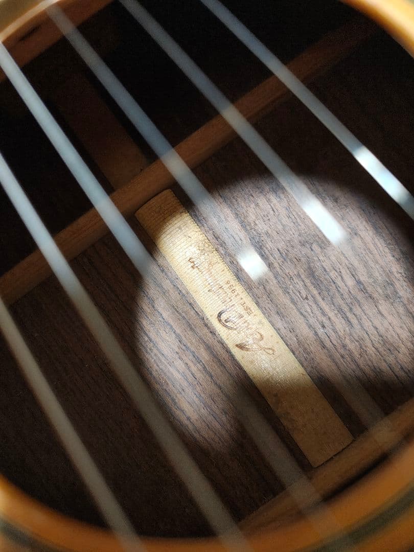 オール単板/Aria AF60/ハードケース