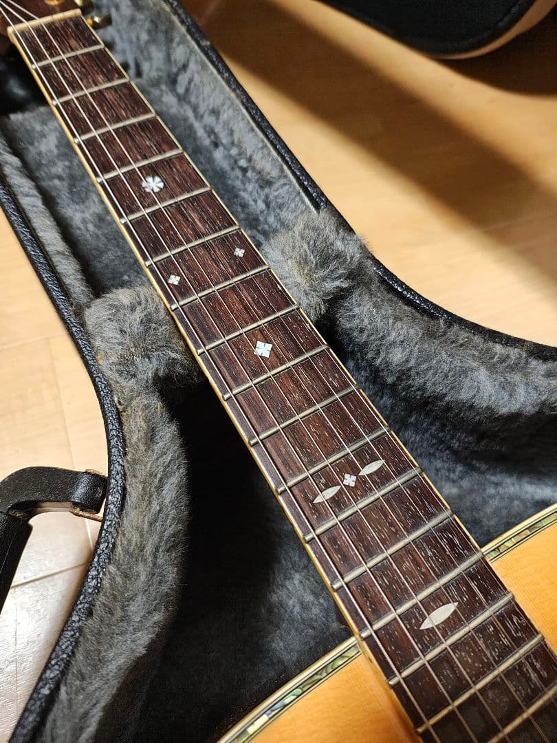 オール単板/Aria AF60/ハードケース