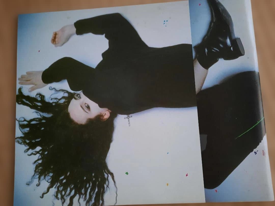 レア　デッドオアアライヴ　1987 Rip It Upツアーパンフ