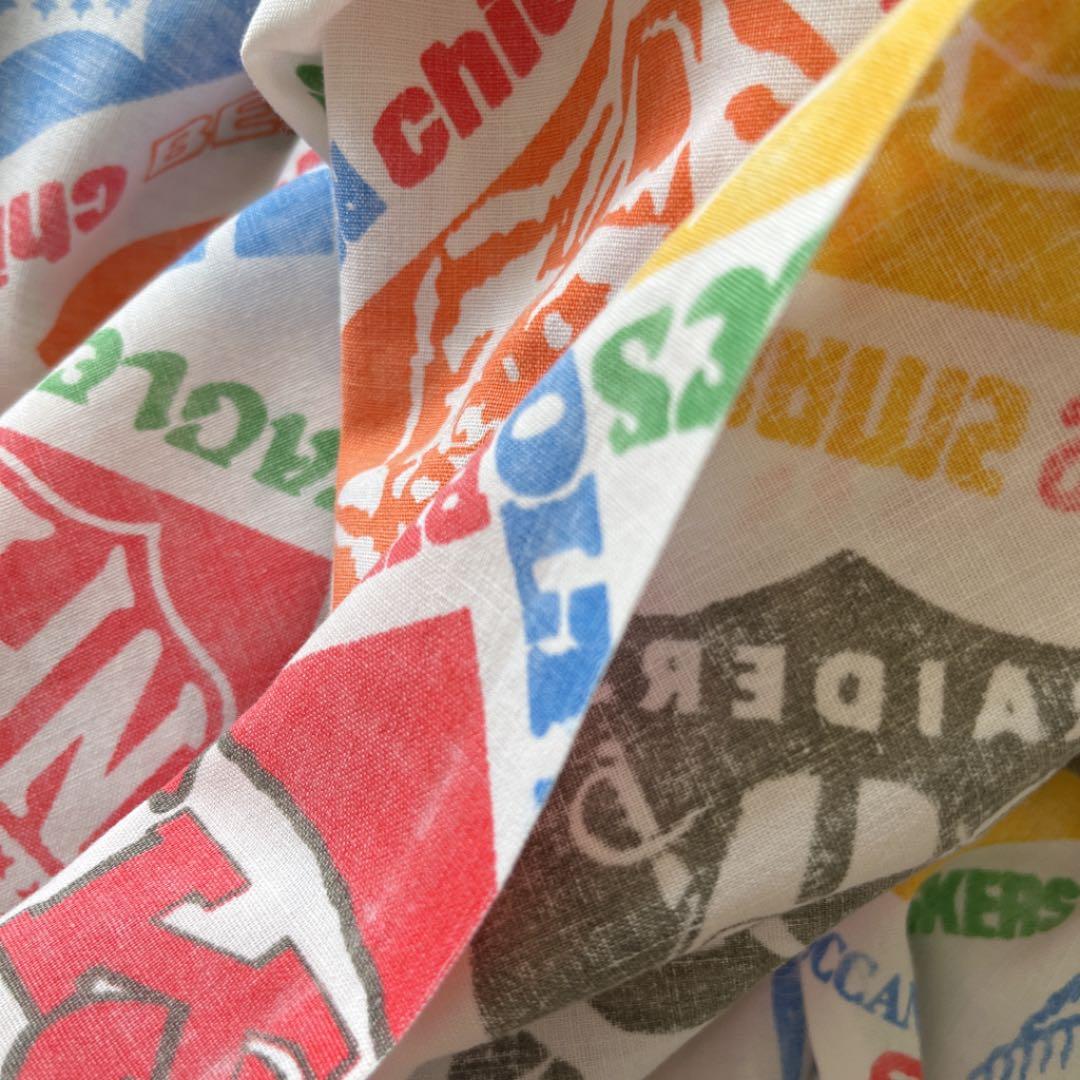 【超レア】アメフトチームデザイン　サイズ約230cm×170cm