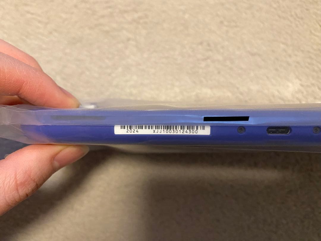 Nintendo Switch Lite Blue 本体