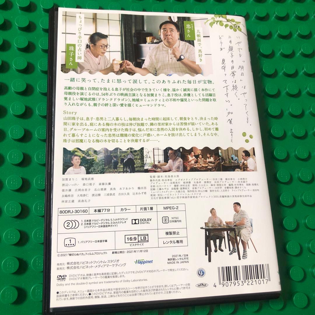 梅切らぬバカ　DVD