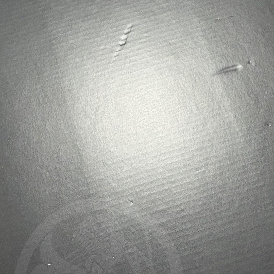 ファミコン探偵倶楽部 消えた後継者・うしろに立つ少女 Switch