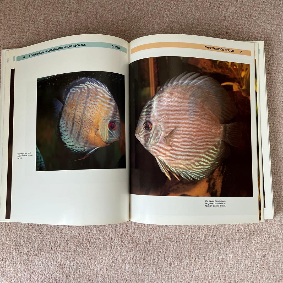 洋書　THE ATLAS OF DISCUS ディスカス　大型本