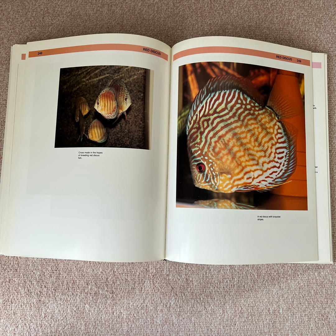 洋書　THE ATLAS OF DISCUS ディスカス　大型本