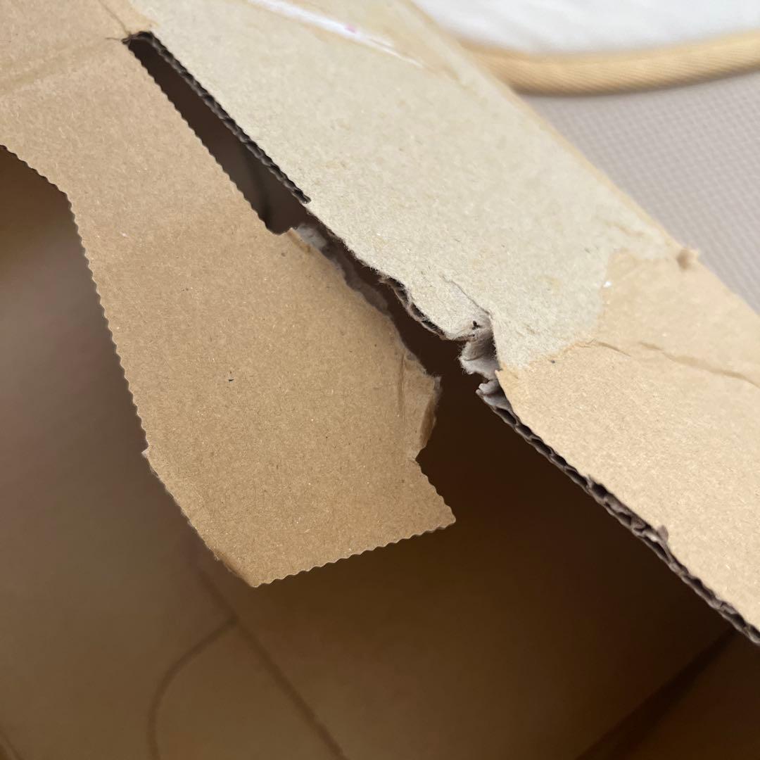 FANCL BCライン　セット