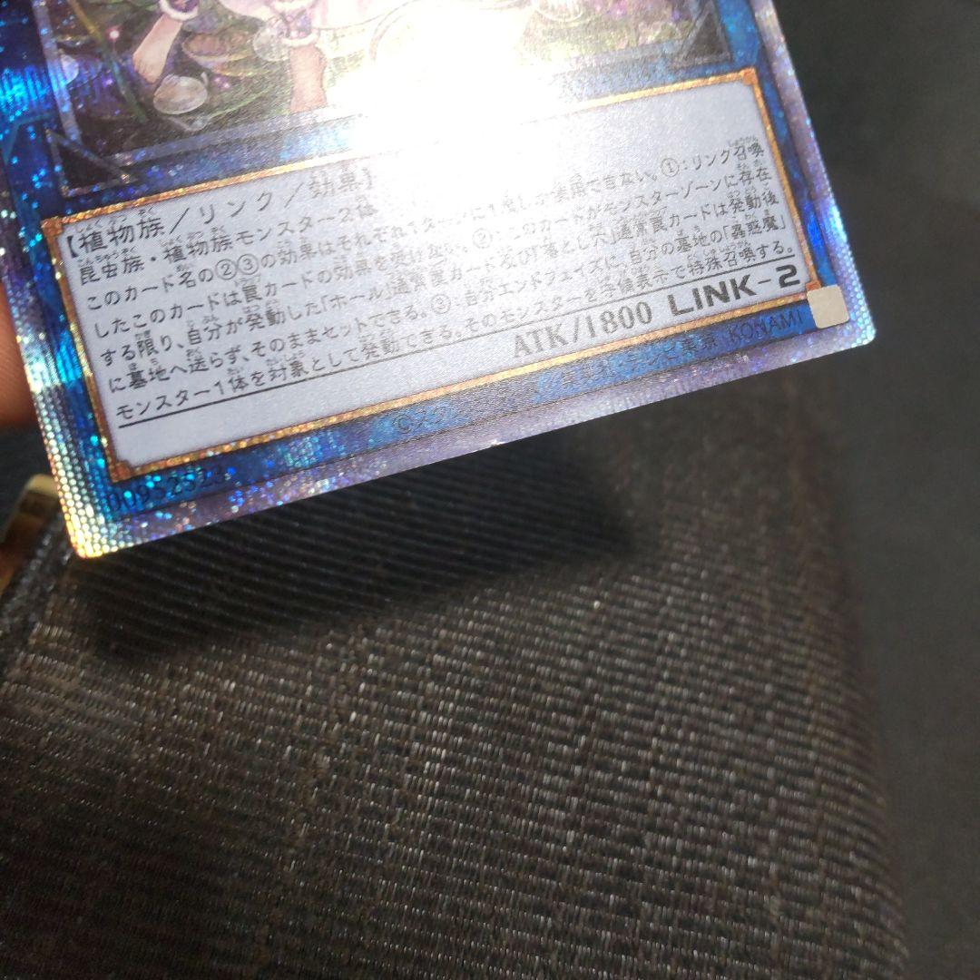 け*い様 遊戯王　クラリアの蟲惑魔　プリズマ　11枚　まとめ売り