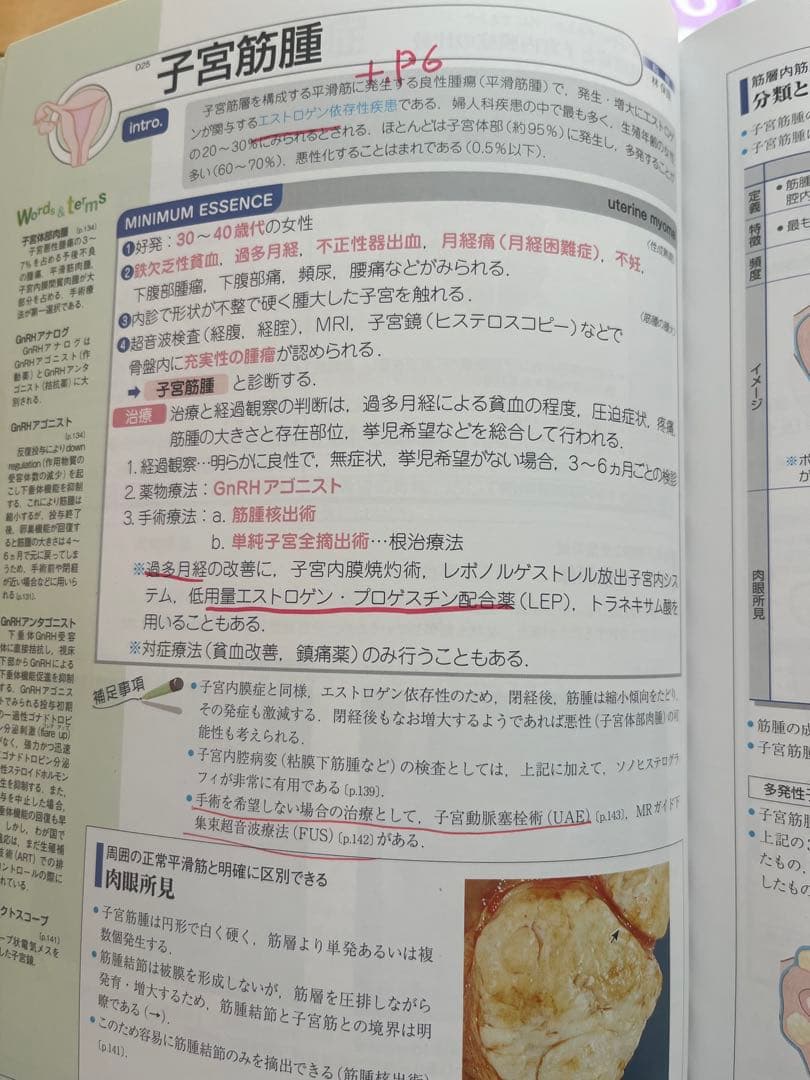 病気が見える！セット売り可！　医療系国試で大活躍