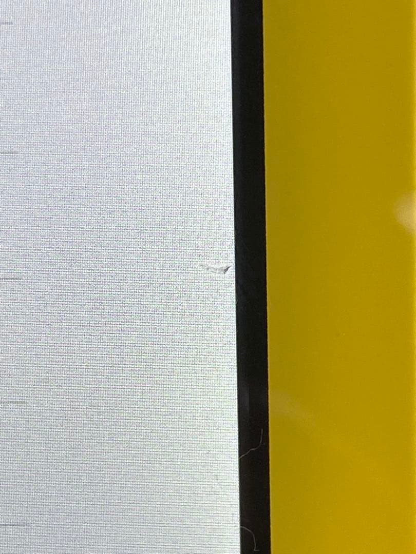 Nintendo Switch Lite イエロー 本体 + ソフト2本