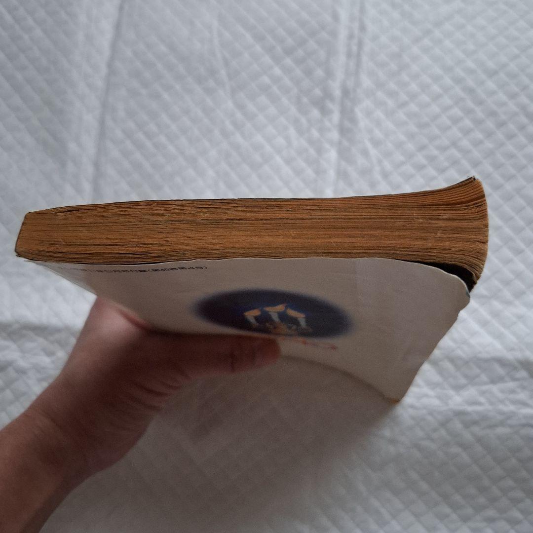 闇は集う 夜に消える翼 松本洋子