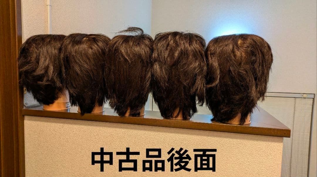 美容師国家試験用 カットウィッグ