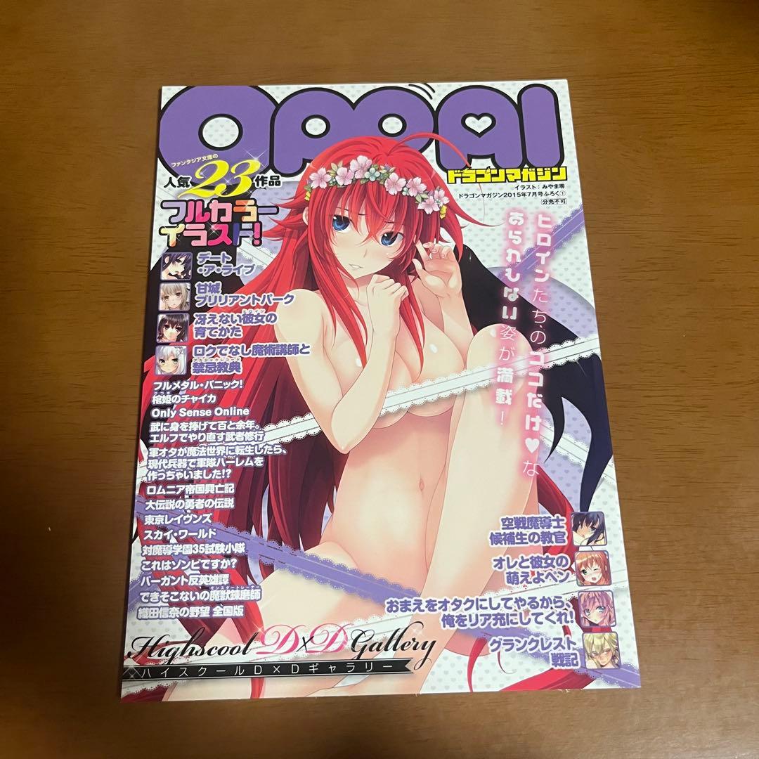 【非売品】ドラゴンマガジン フルカラーイラスト集