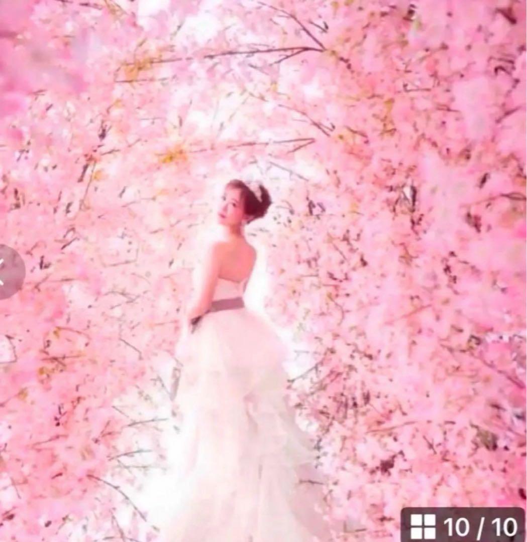 シマボシラスターリッチクリーム ＷリペアセラムＷリペアショット３点セット　新品