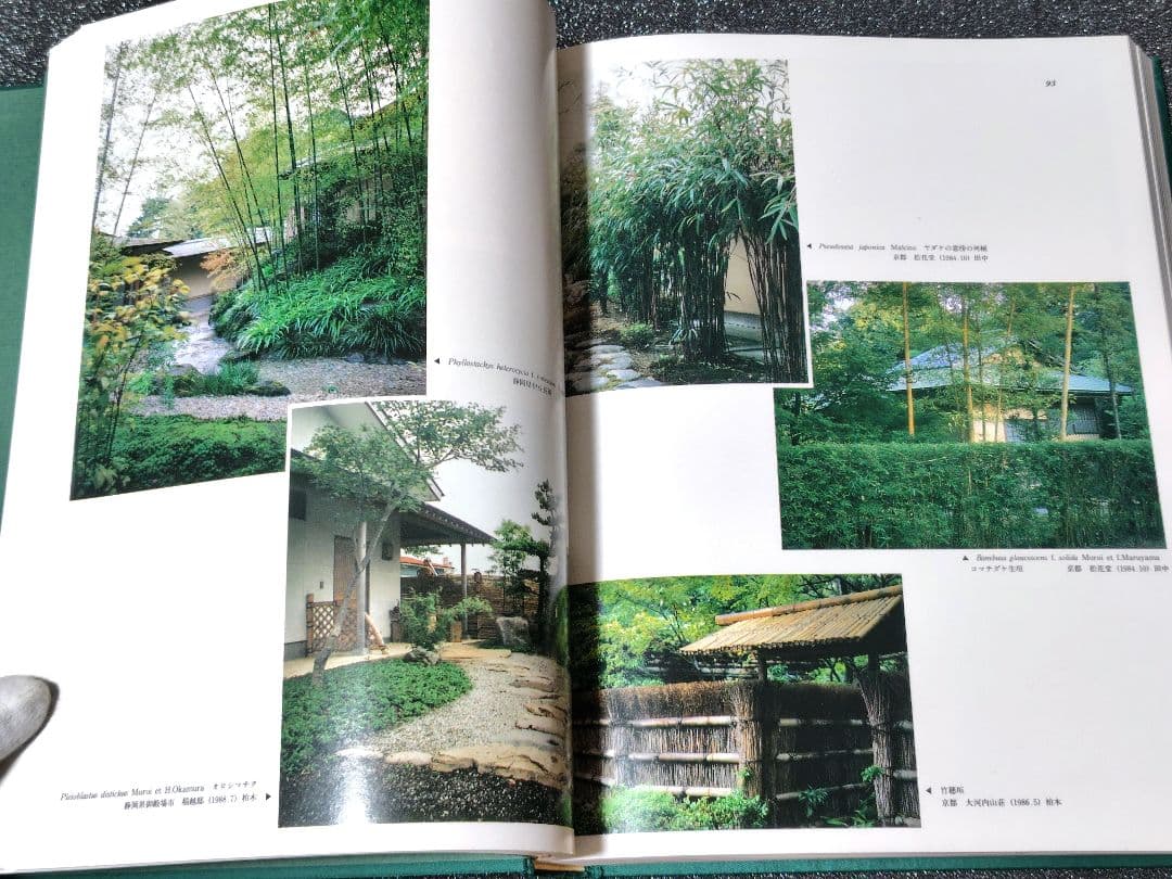 原色　日本園芸　竹笹総図説　岡村はた他　 はあと出版